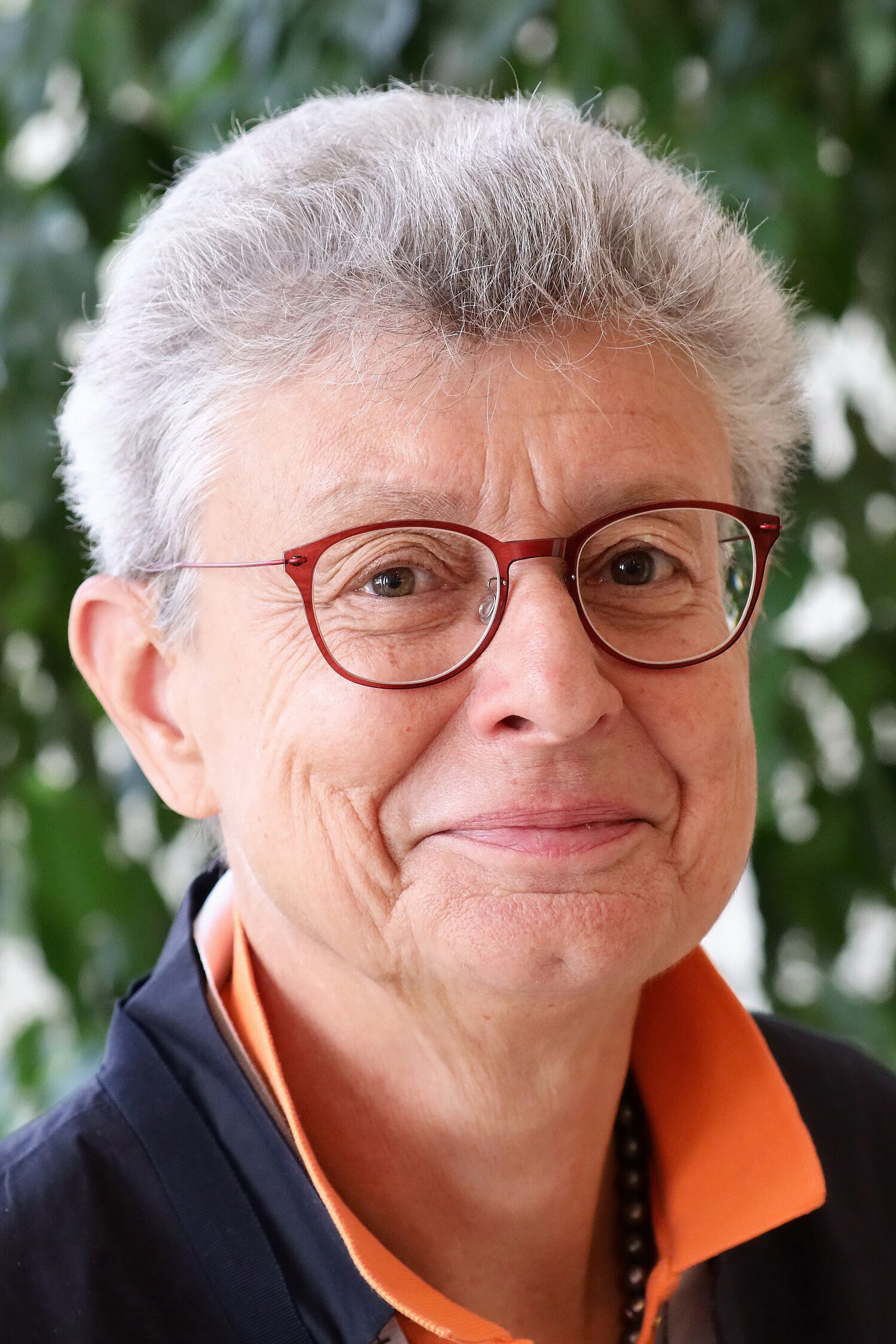 Prof. Dr. Ulrike Holzgrabe Stiftung für Arzneimittelsicherheit
